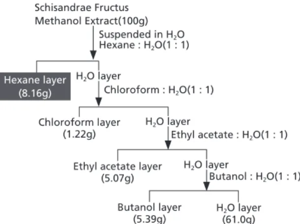 Fig. 1. Purification procedure for the fractions iso- iso-lated from Schisandrae Fructus