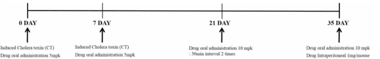 Fig. 1. Experimental plan of repeated cholera toxin inducementgladiate) enhances anti-inflammatory effects by improving the  balance  between  CD4+  T  and  CD8+  T  cells  in atopic  dermatitis25, 26)