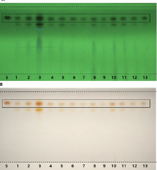 Fig. 4. TLC chromatogram of S. miltiorrhiza  on the KP method.