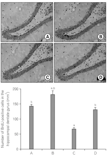 Fig.  1.  Effect  of  exercise  on  memory  in  the  diabetic  rats.  (A)  Control  group,  (B)  exercise  group,  (C)  DM-induction  group,  (D)  DM-induction  and  exercise  group