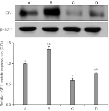 Fig.  3.  Effect  of  exercise  on  BDNF  level  in  the  hippocampus.  (A)  Control  group,  (B)  exercise  group,  (C)  DM-induction  group,  (D)  DM-induction  and  exercise  group