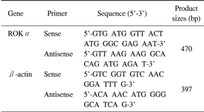 Table  2.  Detail  of  the  primers  used  for  amplification  of  ROKα and  β-actin  by  RT-PCR