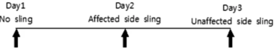 Fig. 2. Experimental design.