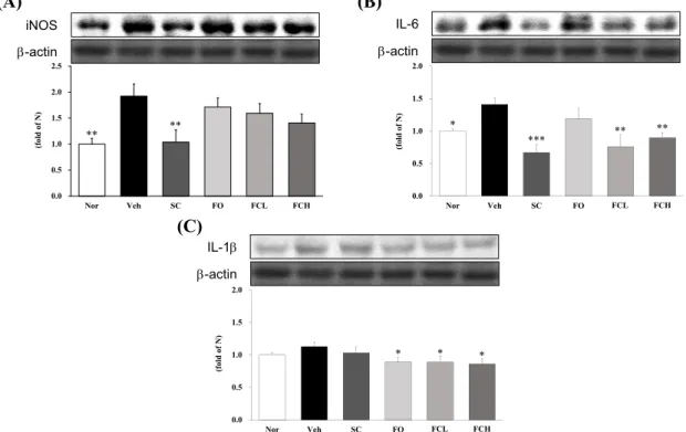 Fig. 6. Expression of inflammtion-related proteins of stomach tissues in HCl/ethanol induced acute gastritis mice