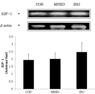 Figure 5. Effect of SHJ on VEGF protein expression in alopecia  model of C57BL/6 mice