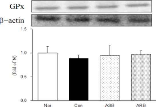 Fig. 4. Western blot analysis of nuclear factor erythroid 2 (Nrf2)  expression;  expression levels  in  the  MIA-induced osteoarthritis  rats
