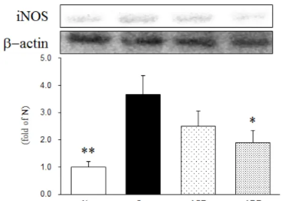 Fig.  11.  Western  blot  analysis  of  tumor  necrosis  factor-alpha  (TNF-α )  expression;  expression  levels  in  the  MIA-induced  osteoarthritis rats.