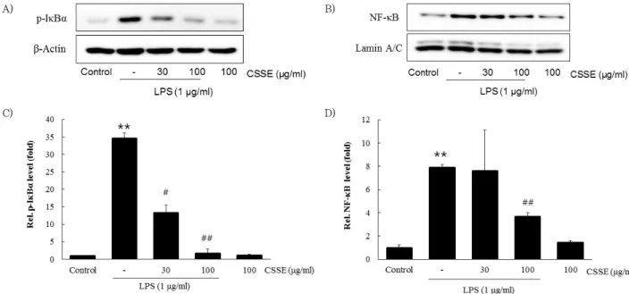 Fig. 4. Inhibitory effects of CSSE on the LPS-induced activation of p-IκBα  (A and C) and nuclear NF-κ B (p65) (B and D)