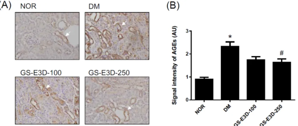 Figure 5. Effect of GS-E3D on AGE accumulation in the renal tissues. (A) Immunohistochemical staining of AGEs