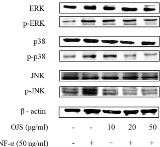 Figure 4. Effects of OJS on the expressions of TLR2, TLR4, and MyD88.