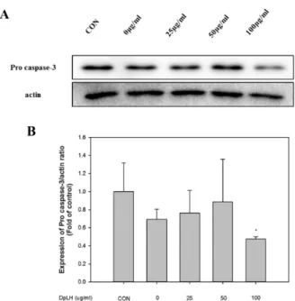 Fig.  8.  Expression  of  DpLH  on  Pro  caspase-3/actin  ratio  in  PC-3 cells. PC-3 cells were treated with various concentrations  of DpLH (0-100 ㎍/㎖)