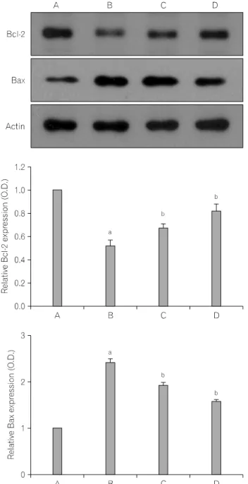 Fig.  6.  Inhibitory  effect  of  EGCG  on  sodium  nitroprusside  (SNP)-induced  caspase-3  enzyme  activity