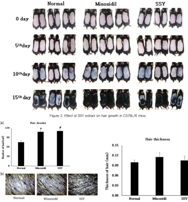 Figure 2. Effect of SSY extract on hair growth in C57BL/6 mice.