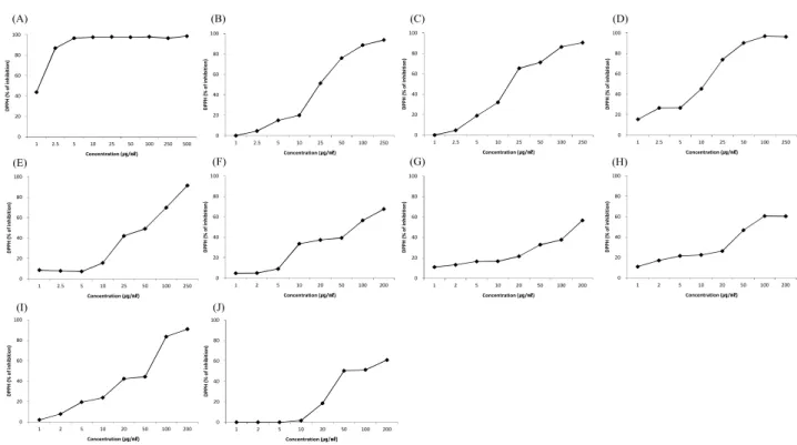 Fig. 1. Scavenging activity of young persimmon fruit extracts on DPPH radical.