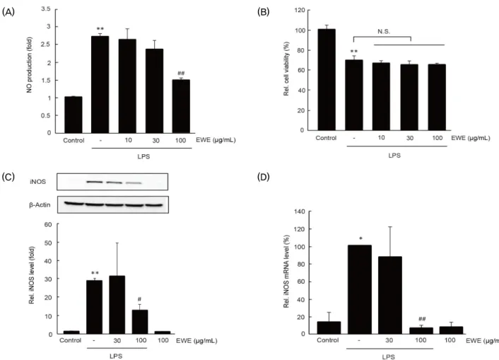 Fig. 1. The effect of EWE on LPS-stimulated NO production and iNOS expression. RAW 264.7 cells were pretreated EWE (10-100 ㎍/㎖)  for 1 h and subsequently treated with LPS (1 ㎍/㎖) for 18 h  (for A-C) or 6 h (for D)