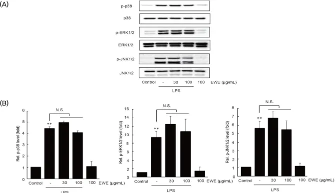 Fig. 5. The effect of EWE on LPS-stimulated MAPKs phosphorylation. EWE pretreated RAW 264.7 cells were incubated with LPS for 30 min