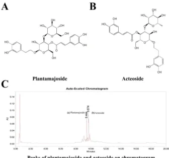 Figure  5.  Structures  of  plantamajoside,  acteoside  and  UPLC  chromatogram of standard solution