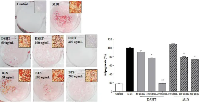 Fig 2. Effect of Daesiho-tang(DSHT) on lipid accumulation during the differentiation of 3T3-L1 preadipocytes