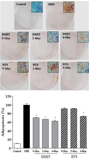 Fig 3. Effect of Daesiho-tang(DSHT) on the expression of C/EBP- C/EBP-α and PPAR-γ mRNA and protein in 3T3-L1 adipocytes