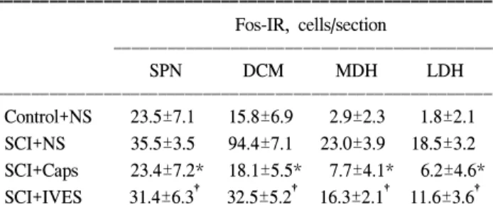 Fig.  4.  Topographical  distribution  according  to  the  c-fos  expression  in  the  L6-S1  spinal  cord  of  the  spinalized  rat