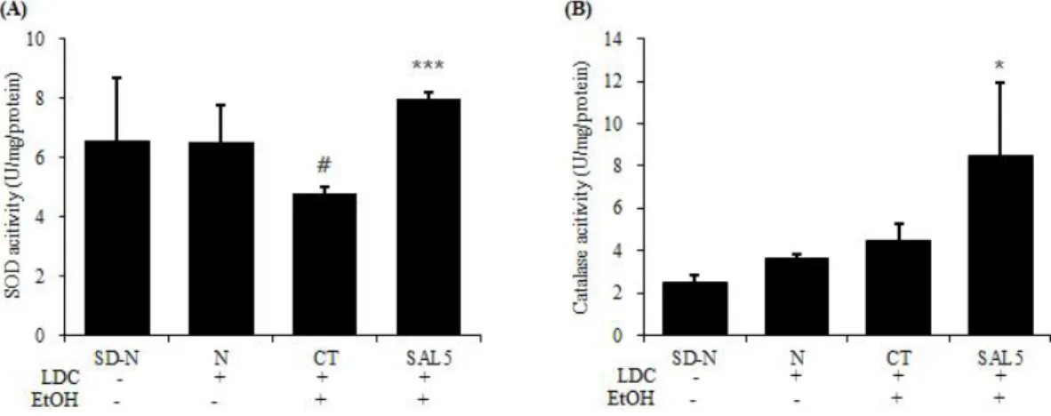 Fig. 3. Effect of SAL5 on fat accumulation in liver tissue of chronic ethanol-induced fatty liver model.