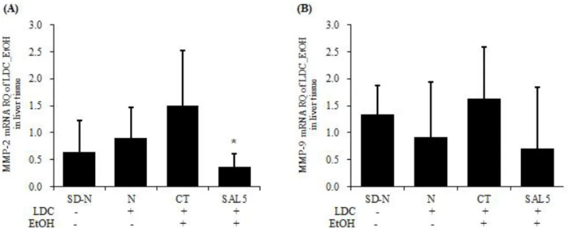Fig. 8. Effects of SAL5 on MMP-2, MMP-9 mRNA expression in liver tissue of chronic ethanol-induced fatty liver model.