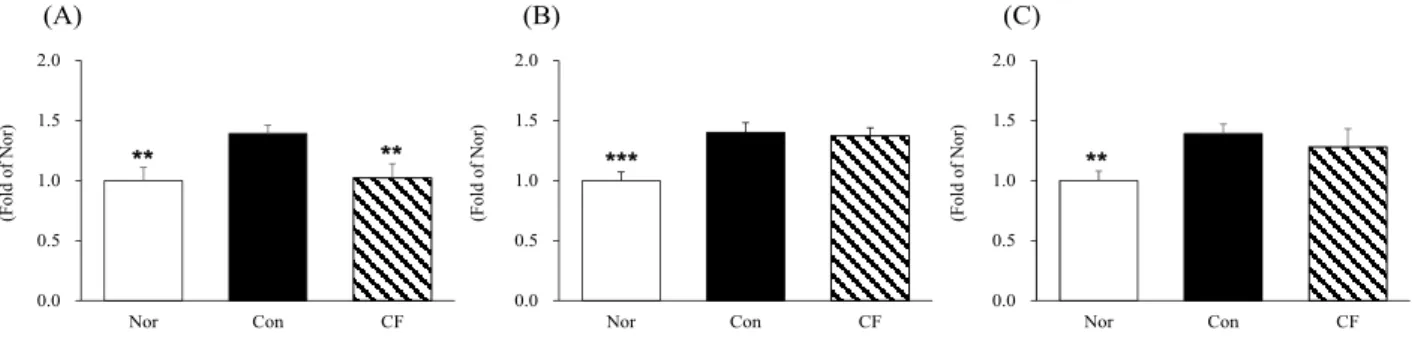 Fig 4. Expression inflammation related protein in skin tissues.