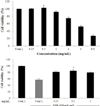 Fig. 1. Anti-aging effect of Leonurus sibiricus methanol extract on the UVB-induced cytotoxicity