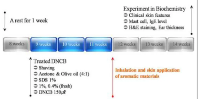 Fig. 1. Experimental Design