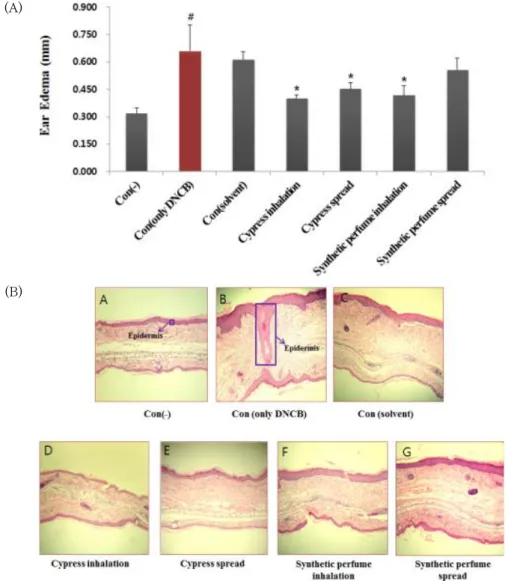Fig. 4. Protective Effects of Cypress oil on the DNCB-induced Atopic Dermatitis in NC/Nga Mice-Histological Evaluation(H&amp;E Staining)