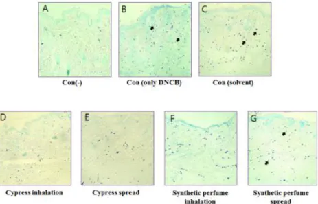Fig. 5. Protective Effects of Cypress oil on the DNCB-induced Mast Cell Activation. Experimenting this hypersensitive reaction to contact,  the cypress oil spread group was inhibited the manifestation of mast cell, which grows more significantly given the 