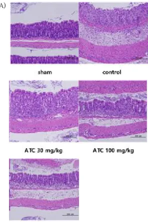 Figure 5. Effects of ATC on MPO scores in DSS-induced colitis. 