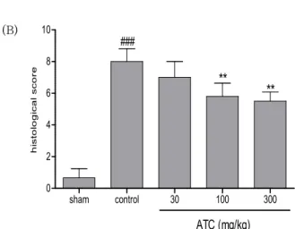 Figure 6. Effects of ATC on histological characterization in DSS-  induced mouse colitis.
