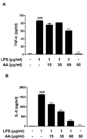 Figure 5. Effect of AA on LPS-induced NF-κ B activation in RAW  264.7 macrophages. Cells were pretreated with AA for 1 h prior  to the addition of LPS (1 ㎍/㎖) for 1 h