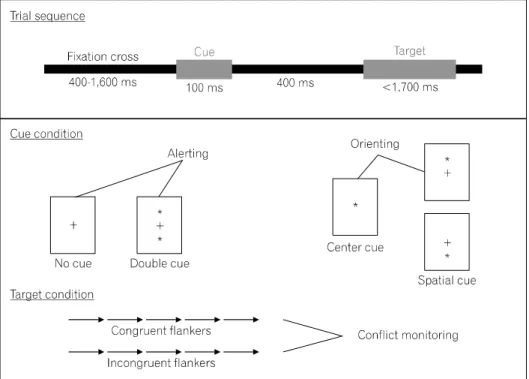 Fig.  1.  The  trial  process,  cue  conditions,  and  target  conditions  of  ANT.