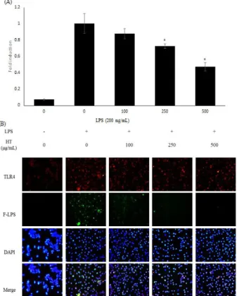 Figure 8. Effects of Hyeonto-dan on TLR-4 expression and the  interaction between LPS and TLR-4