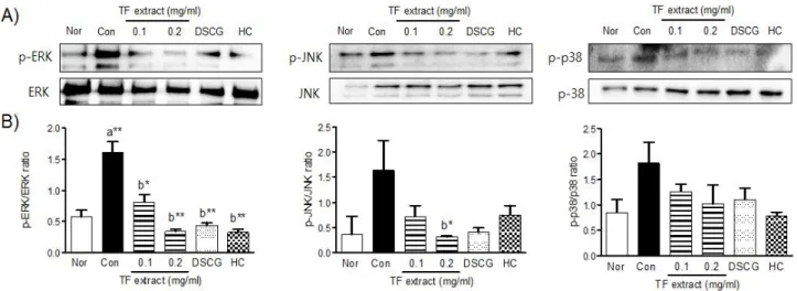 Fig.  3.  Effect  of  TF  extract  on  the  phosphorylation  of  ERK1/2,  p38  and  JNK  in  DNP/IgE-HSA-stimulated  RBL-2H3  cells