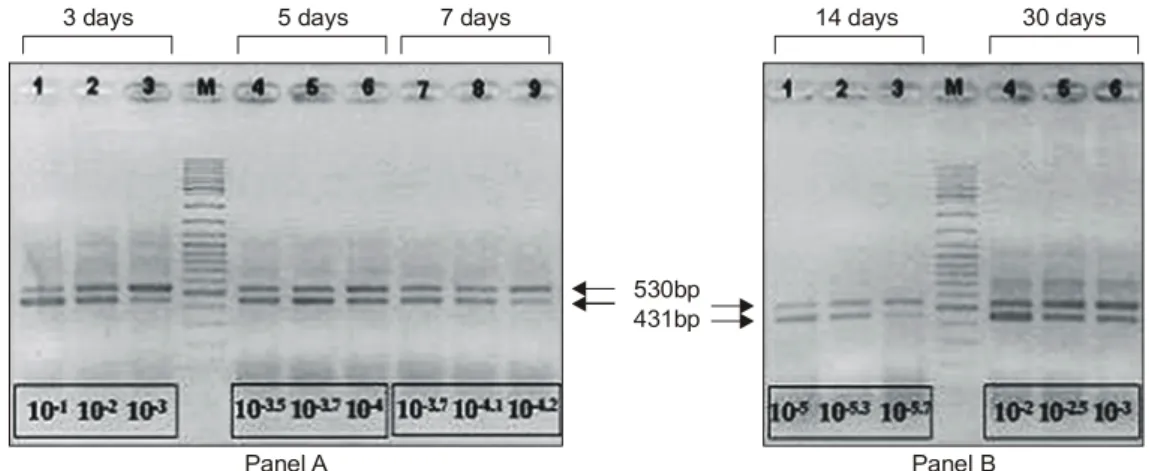 Table  3.  Quantitative  analysis  of  mRNA  expression  rate  of  the  ygaG  gene  according  to  the  insertion  time