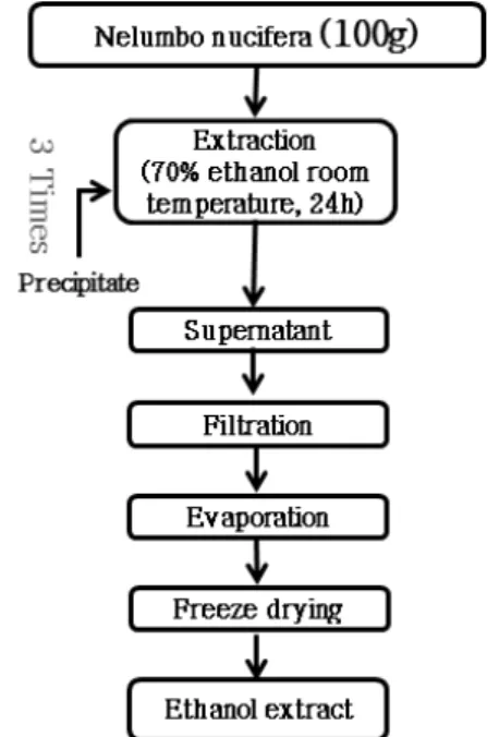 Fig. 1. The procedure for extraction from Nelumbo nucifera G.