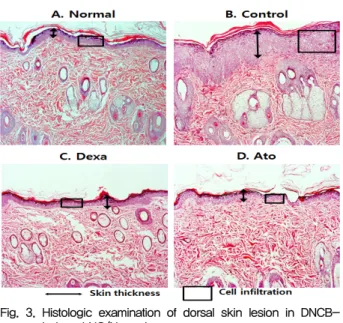 Fig. 4. Effect of Ato on the level of IL-4, IL-5 and IL-13 in the  serum  of  DNCB-induced  atopic  dermatitis  model  of  NC/Nga mice