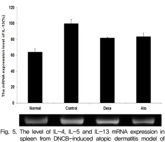 Fig.  5.  The  level  of  IL-4,  IL-5  and  IL-13  mRNA  expression  in  spleen  from  DNCB-induced  atopic  dermatitis  model  of  NC/Nga mice