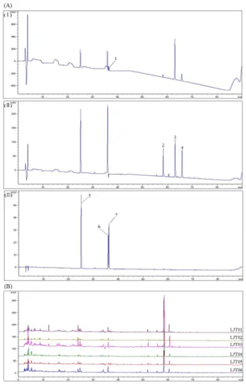 Figure  2.  Chromatograms  of  seven  standard  marker  compounds  (A)  at  205nm  (A-Ⅰ),  230nm  (A-Ⅱ),  and  325nm  (A-Ⅲ),  and  Ijung-Tang(IJT)  samples  at  a  detection  wavelength  of  UV  250nm  (B)
