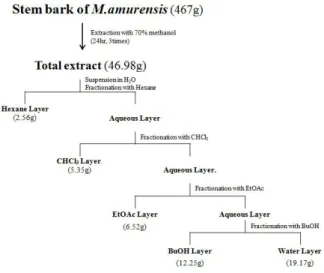 Fig.  1.  A  scheme  of  extraction  and  fractionation  of  stem  bark  M. 
