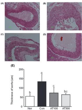 Fig.  6.  Effect  of  Allium  tuberosum   extract  on  aorta  histological  profiles  in  LDLr  KO  mice.