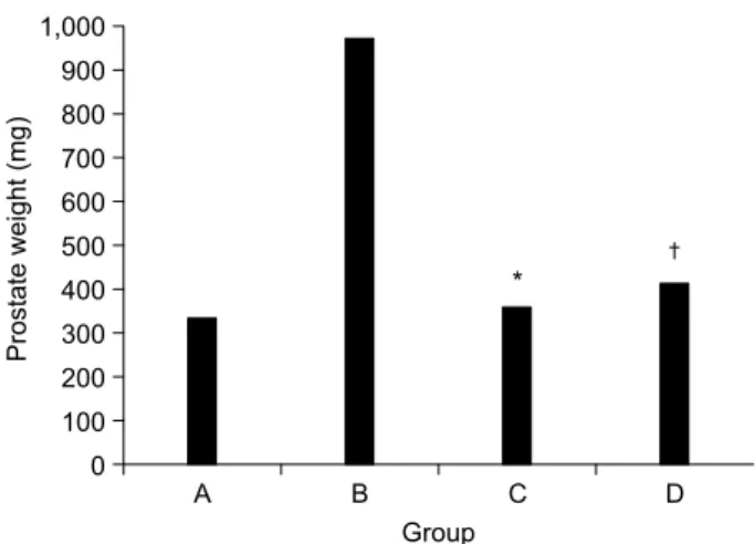 Fig.  2.  Histologic  findings  from  specimen  of  the  prostate  in  the  rat  model  of  benign  prostatic  hyperplasia,  4  weeks  after  the  testosterone  injection  and  in  the  control  group