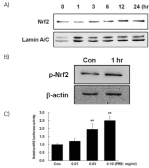 Fig.  5.  GCLC  and  NQO1  activation  by  PRE