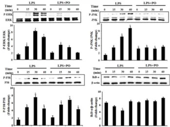 Fig.  4.  Effect  of  PO  extracts  on  LPS-induced  nitric  oxide  (NO)  production  in  RAW  264.7  cells