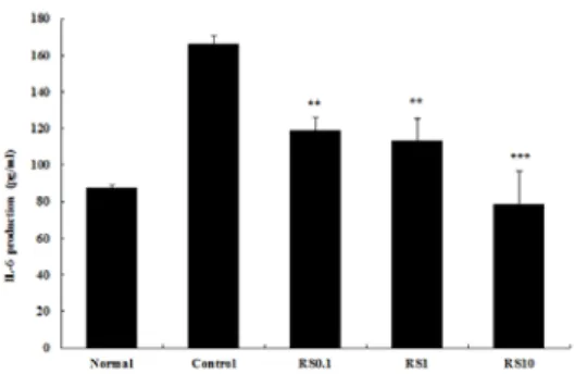Fig.  5.  Effects  of  RS  on  the  Dp.-induced  IL-6  production  in  THP-1  cells.  Cells  treated  with  0.1,  1,  or  10  ㎍/㎖  of  RS  in  the  presence  of  10  ㎍/㎖  Dp