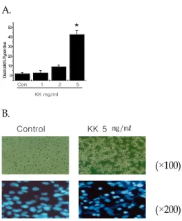Fig. 2. KK induces caspase-3 and -9 ac- ac-tivation in Hela cells.