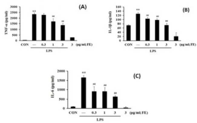 Fig.  3.  Effect  on  the  expression  of  iNOS  and  COX-2  proteins  by FE.